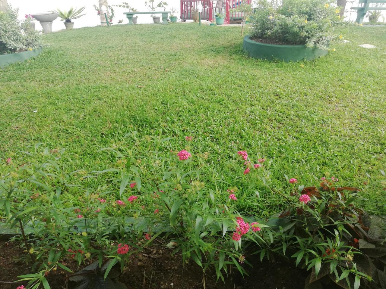 Mahi Villa Bentota Esterno foto